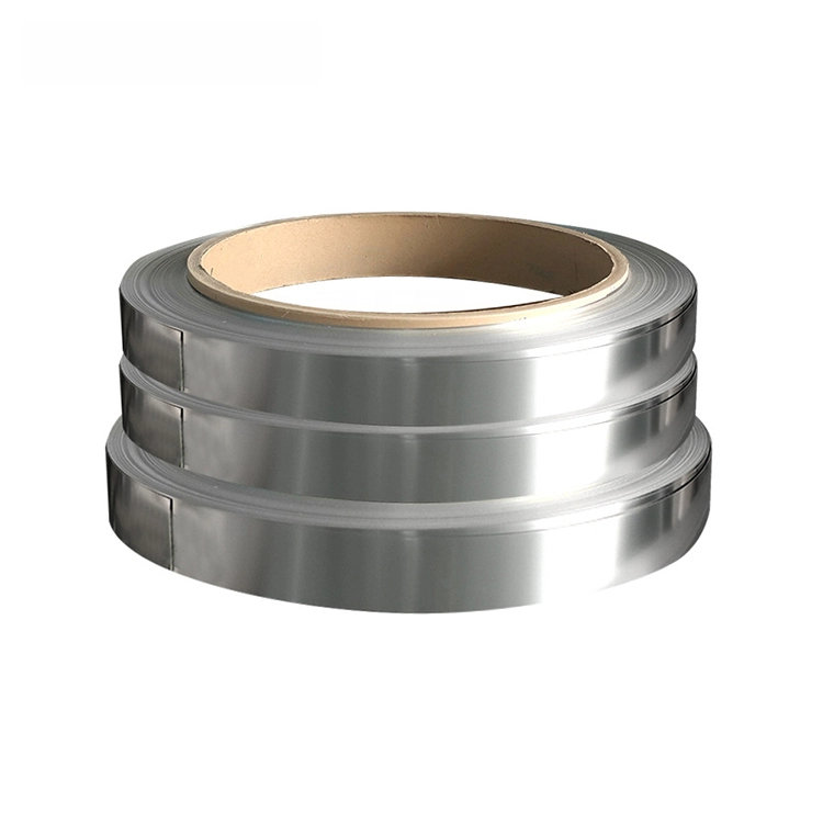 Stainless Steel Strip